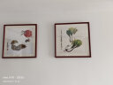 紫腾随轩齐白石装饰画新中式客厅背景墙面挂画卧室饭厅餐厅水墨虾壁画 白菜 60*60cm红木色实木框 实拍图