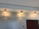 沙尔克（SHAERKE）新中式全铜吸顶灯走廊灯入户过道玄关灯具led温馨圆形阳台灯饰 3601/1 吊式 实拍图