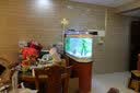 喜灏子弹头鱼缸水族箱客厅家用中型大型1.2米屏风隔断免换水鞋柜鱼缸 包到家安装 长0.8米单缸-顶滤 实拍图