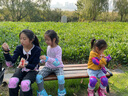 小状元 溜冰鞋儿童轮滑鞋初学者旱冰鞋滑冰鞋专业滑轮鞋生日礼物 初学必备【粉|头盔护具+背包】 L (适合平时鞋码36-40) 实拍图