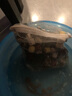 奈宠（NaiChong）滤材鱼缸鱼池乌龟缸过滤材料培菌过滤石头陶瓷环珊瑚骨纳米细菌球 精选13合1 混合滤材 3斤装 实拍图