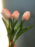 塔洛克（tulloch）郁金香假花仿真花摆设房间卧室客厅家居装饰餐桌摆件干花永生花束 3朵粉白色 实拍图