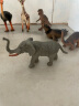 Wenno儿童生日礼物仿真动物玩具模型男女宝宝认知野生动物园恐龙摆件玩具 三角龙 实拍图