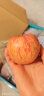 顶端果业陕西红富士洛川苹果生鲜水果礼盒 3-23斤健康轻食 12枚75mm中果礼盒 晒单实拍图