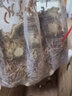 KERRY面包虫活体饲料黄粉虫鸟鱼龟蜥蜴金龙鱼鬃狮蝎子守宫食物幼体幼虫 1斤虫子+1斤麦麸（鲜活） 实拍图