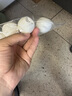 红双喜狂飙专业星钻乒乓球拍单拍全能型直拍含拍套六只乒乓球D02-S黑耀 实拍图
