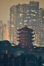图丽（TOKINA） SZ SUPER TELE 500mmF8 MF 甜甜圈 超远摄折返镜头全画幅单反微单相机定焦镜头手动对焦 官方标配 索尼E卡口 实拍图