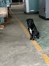 万牵狗链子 不锈p链牵引绳项圈栓狗遛中大型犬脖圈脖套P链金属防咬铁 5.0加粗（80—90斤)75厘米 实拍图