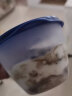 川秀酸奶发酵菌（奶酪型）家用自制酸奶发酵粉发酵剂10g 实拍图