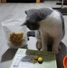 爪子心选（PETCHOICE）猫咪零食冻干宠物狗狗鸡胸肉多春鱼三文鱼干鸭肉牛肝蛋黄 鹌鹑蛋黄冻干70g 实拍图