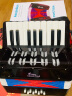 NEW CLASSIC TOYS儿童手风琴初学乐器玩具 早教音乐启蒙玩具可弹奏男女孩生日礼物 大号黑色 17键8贝斯【6岁以上】 实拍图