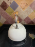  苏泊尔 SUPOR 悦目系列鸣笛不锈钢开水壶 复合底燃气烧水壶 2.5L白色 ES25TS01-W  实拍图
