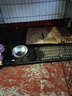 华美龙 狗笼子小型犬中型犬带厕所泰迪柯基比熊柴犬宠物狗窝室内狗围栏 【免安装】85*60*70（45斤内） 实拍图