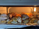 东菱（Donlim） 东菱多功能电烤箱家用全自动空气炸锅烘培烤一体发酵大容量烤箱 白色 晒单实拍图