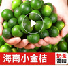 探味君 海南小金桔 青金桔子莫吉托 新鲜水果 带箱 2斤 净重1.8斤 实拍图