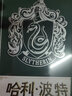哈利波特：斯莱特林学院笔记（正版授权皮面精装笔记本，哈迷2020年首选笔记本） 实拍图