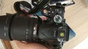 尼康/Nikon D5200 D5300 D5500 D5600 二手单反相机学生新手入门级数码相机 D5200（18-105mm VR)套机 99新 实拍图