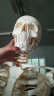 人体骨骼模型医用170cm一比一彩色脊柱全身骨架模型附神经带软肋骨骨骼标本美术瑜伽骷髅教学教具 180cm全骨色不带神经白色 晒单实拍图
