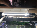 森森（SUNSUN）鱼缸灯led灯照明灯变色LED水族箱造景灯龙鱼灯潜水灯 【9W光之白】45cm长 适合60-70缸 实拍图
