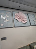 仙陶立体油画沙发背景墙三联装饰画浮雕手绘壁画客厅挂画轻奢大气简约 花舞纷飞【蝴蝶】 金属边框 高80cm总长220cm(可调整长度) 实拍图