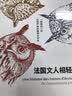 法国文人相轻史 实拍图