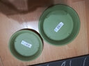 爱丽思花盆托盘 加厚花卉盆栽底座底托花托花盘接水盘彩色圆形塑料 7号浅绿色-内径15.5cm 实拍图