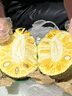 闽农语果【爆甜】菠萝蜜整个海南菠萝蜜菠萝蜜水果菠萝蜜干苞红肉菠萝蜜 【黄肉】15-20斤 实拍图