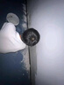 【京东同城房屋漏水维修】防水补漏漏水维修上门卫生间漏水外墙飘窗户阳台楼顶屋顶厕所天花板渗漏水防水补漏 漏水维修上门服务 实拍图