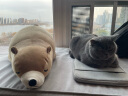 LIV HEART日本北极熊睡觉抱枕毛绒玩具布娃娃公仔陪伴玩偶生日礼物 北极熊咖啡棕(常规款) L号 实拍图