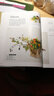 日本花艺名师的人气学堂：花艺设计中枝材的使用技法（花艺设计经典书籍 开花店、花艺师必备 全彩步骤图解） 实拍图