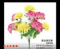 初衷清明节仿真花花束上坟的塑料菊花墓地清明扫墓假花祭祀用品墓前花 6色球菊 1束18朵花 实拍图
