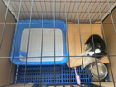 北鼻狗宠物脚垫板猫狗笼子垫板散热板塑料垫板（单个装） 长宽为90*30CM 实拍图