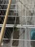 宠华仕 猫玩具逗猫棒猫咪玩具套装自动旋转蝴蝶 灰白色电动不倒翁旋转球 实拍图