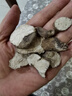 参庆堂 防己100g 无硫新货防己 防己片 药食同源倪海厦黄芪汤 实拍图