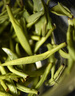峨眉雪芽2025年新茶【门店同款】明前慧欣绿茶 嫩芽茶叶送礼茗茶礼盒252g 实拍图