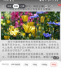 国光钾国光甲磷酸二氢钾蔬菜植物家用花肥料花卉瓜果树水溶肥叶面肥料 400g 实拍图