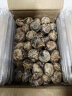 GANXIAN广西桂林荔浦新鲜马蹄【顺丰速运】农家现挖自种荸荠脆甜火锅材料 5斤 特大果 实拍图