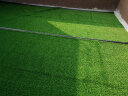 夺秀 仿真草坪地毯塑料假草皮 人造草坪阳台户外人工草坪幼儿园假草坪 升级版30mm新M春草/平方 每平方尺寸（2米*0.5米） 实拍图