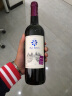 百特（beleden）法国百特经典系列干红葡萄酒750ml原瓶进口红酒礼盒装 单支装 实拍图
