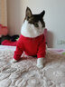喵先生宠物狗狗衣服小型犬泰迪衣服冬季猫咪狗衣服小狗衣服透气两脚卫衣 红色舞狮款XL码建议 （9-11斤） 实拍图