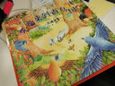 儿童交通安全绘本 欢迎来到百鸟国/我来保护你：2-5岁幼儿交通规则启蒙 亲子共读安全故事书 幼儿园安全教育推荐书家长必备幼儿安全教育读物  实拍图