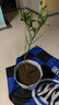 绿族（LVZU）简约木里花盆特大号客厅办公落地阳台种植花卉大型绿植加厚大口径 实拍图