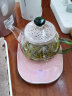 锦格玻璃茶壶耐高温功夫茶具小号过滤可烧煮茶透明家用简约加厚泡茶器 H-22茶壶绿色把 260ml 实拍图
