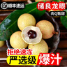 现货广东新鲜石硖龙眼产地直供高州桂圆带叶应当季新鲜水果整箱5 3斤 装石硖龙眼丨果肉爽嫩 实拍图