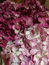 野派（yepai） 绣球仿真花假花简约装饰绢花家居假花插花客厅电视柜装饰花摆件 1支 酒红色 实拍图