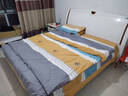 雅鹿家纺简约磨毛纯棉四件套100全棉床上用品冬季加厚床单被套宿舍4 阿勒泰桔LT 1.8m 床单款 四件套(被套2x2.3) 实拍图
