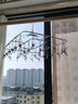 OASISWJ衣架多夹不锈钢晾衣架加粗实心多功能晒裤袜架学生宿舍挂衣神器 【28夹单链款】 实拍图