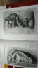 全国美术考级专用教材：素描考级（7-8级） 实拍图