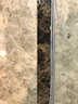 卓高（zhuogao）美缝剂吉祥防水防霉瓷缝剂陶瓷胶美缝瓷砖地砖专用美瓷胶勾缝剂 象牙白 实拍图