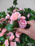 圆林 假花藤条装饰仿真玫瑰花塑料花藤壁挂空调吊顶管道装饰仿真藤蔓 69头小玫瑰-粉色（可改颜色） 实拍图